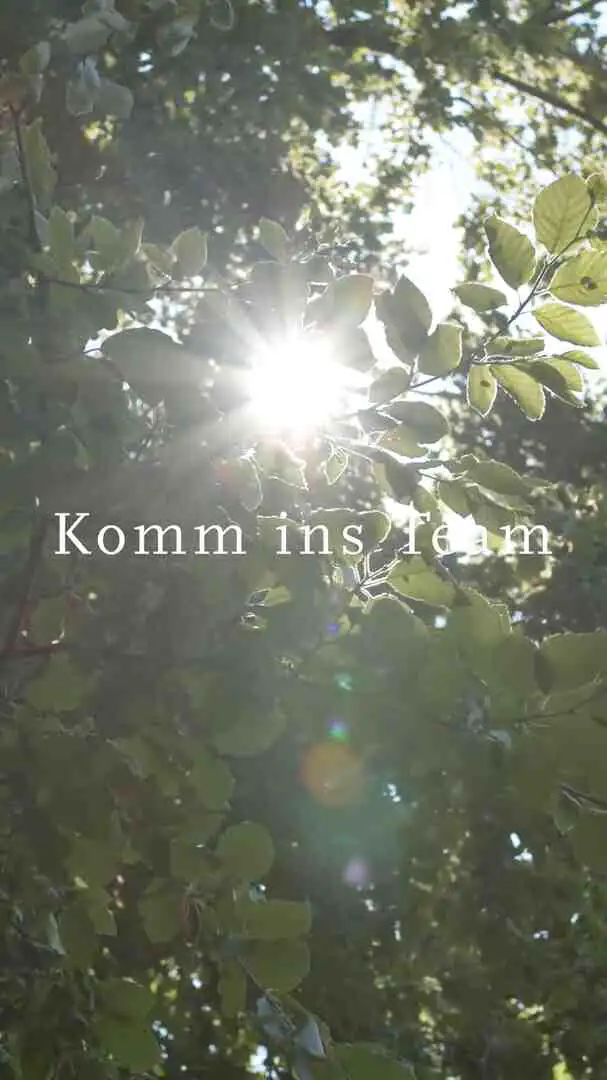 Wortmann & Partner